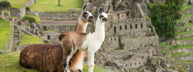 Machu Picchu, Peru.